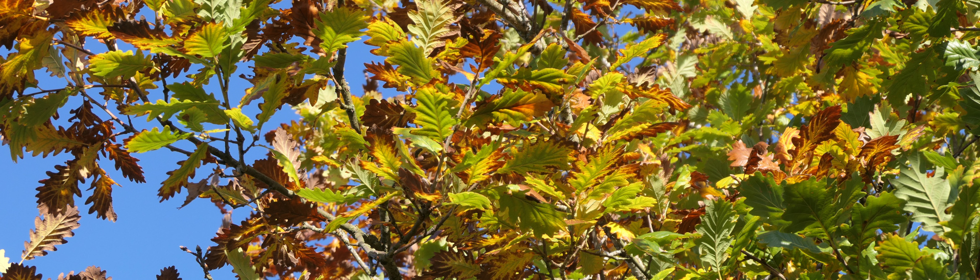 post_rock_discoveries-novembre-2025-1920