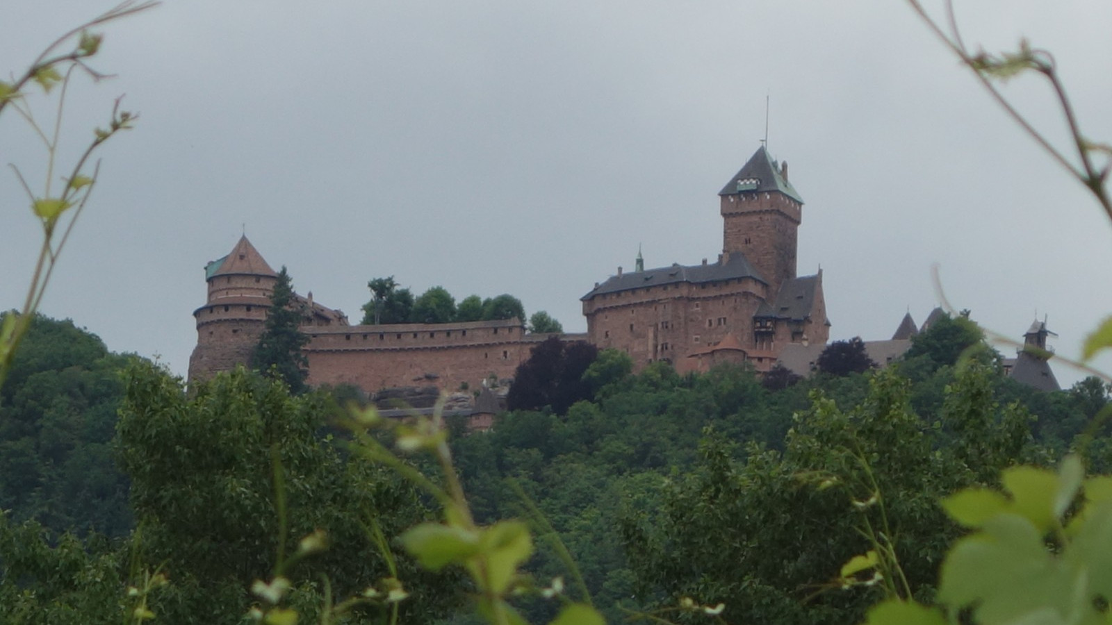 Château du Haut Kœnigsbourg 2017