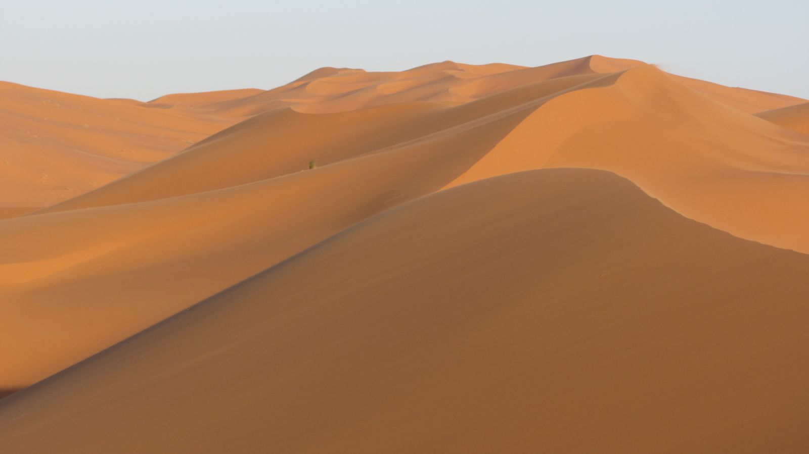 Maroc 2012