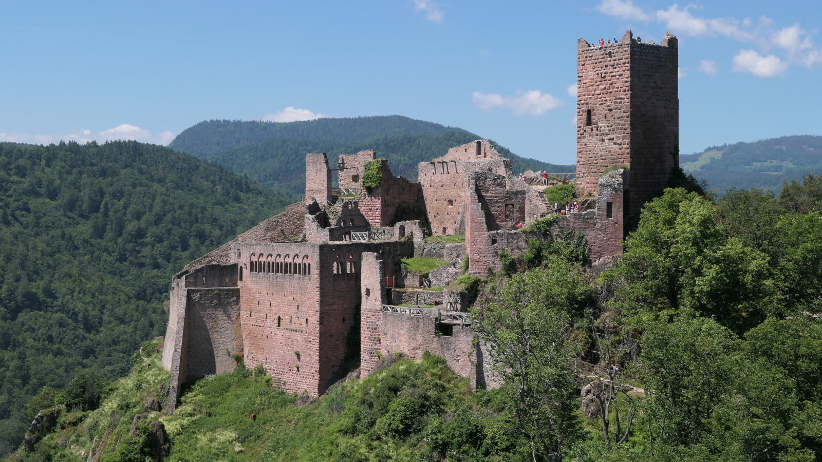 Les 3 châteaux de Ribeauvillé juin 2021