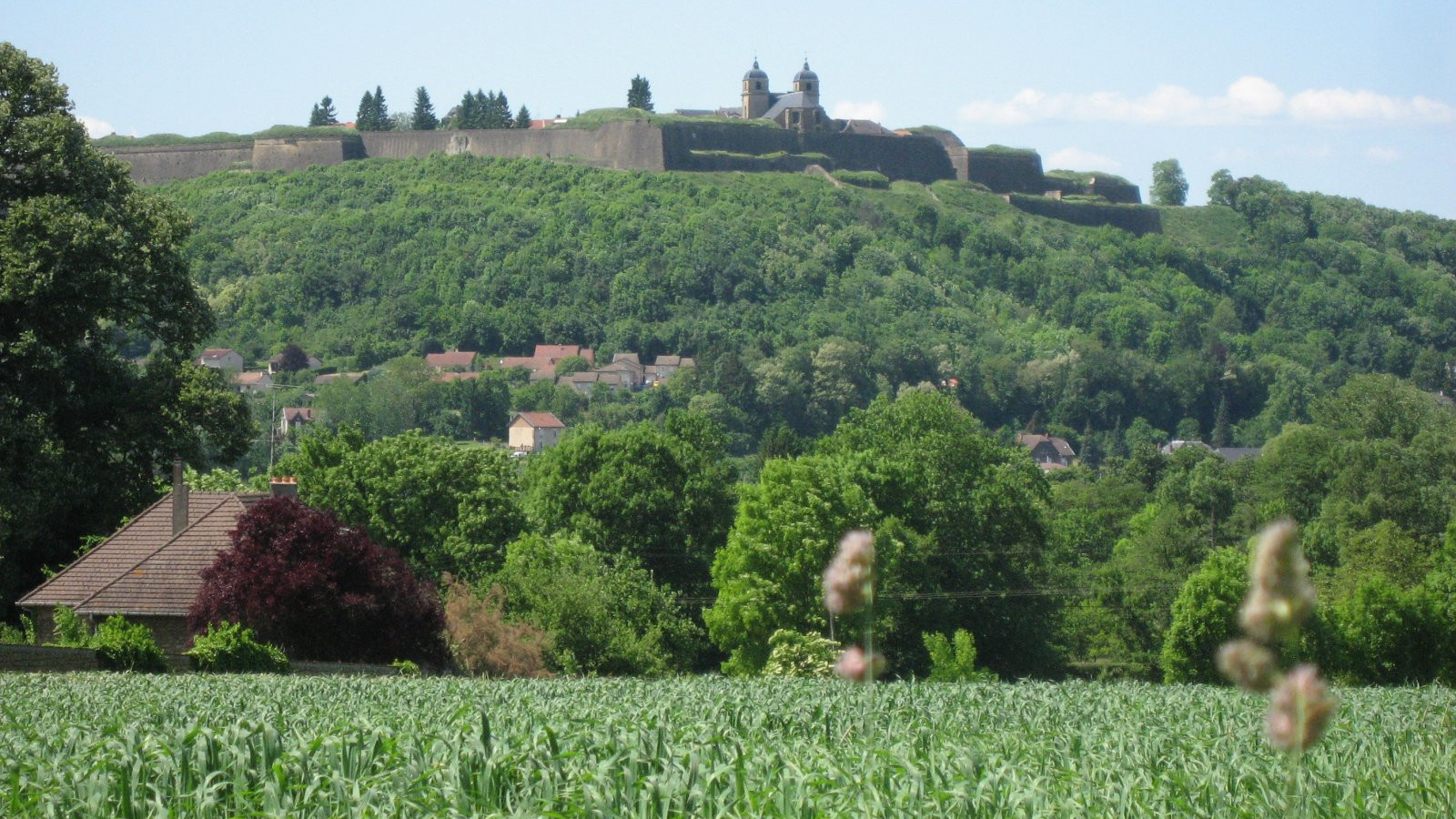 Meuse 2009