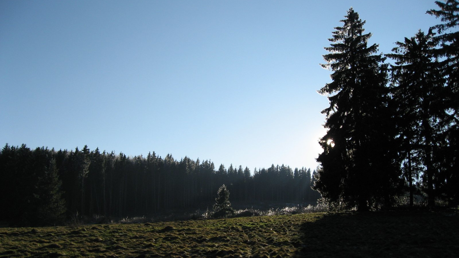 Hohbuhl décembre 2008