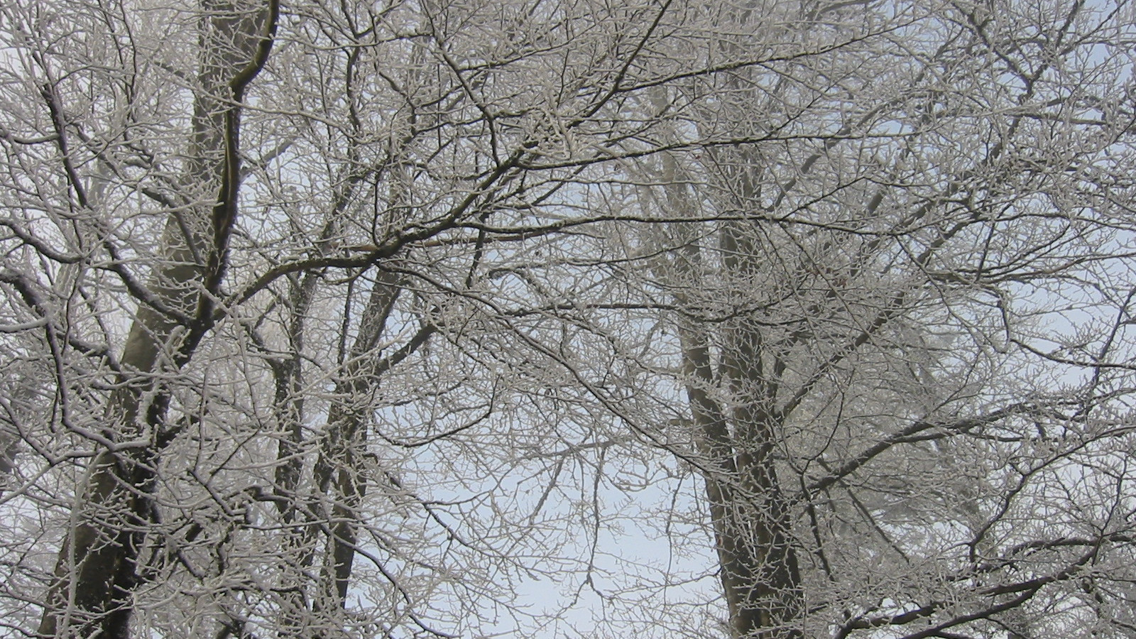 Hohbuhl décembre 2006