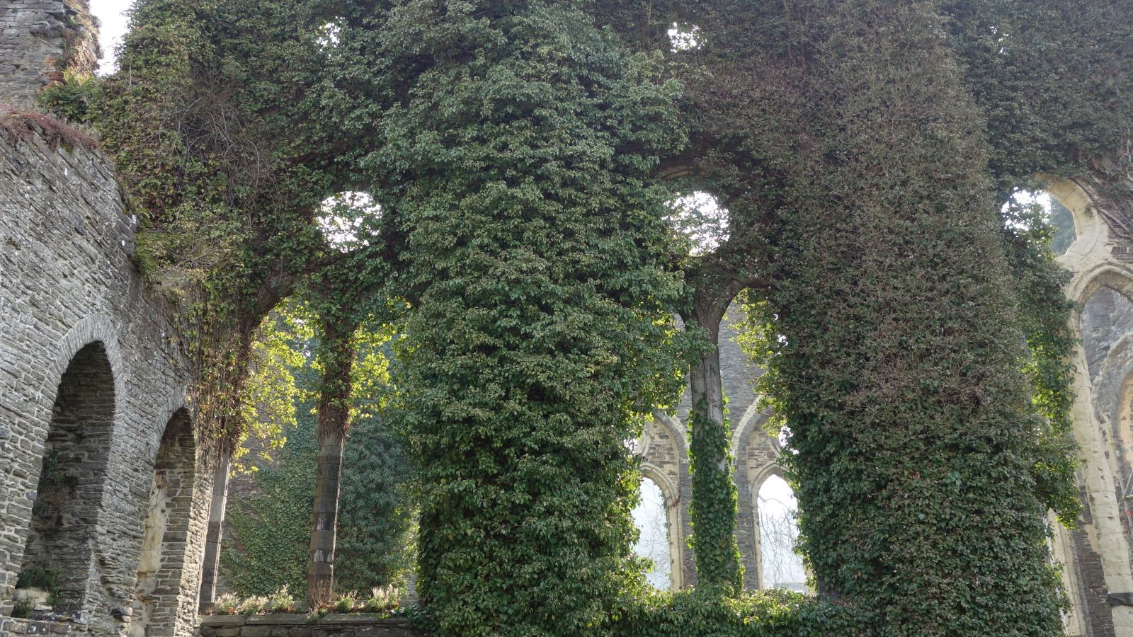 Abbaye de Villers-la-Ville 2013