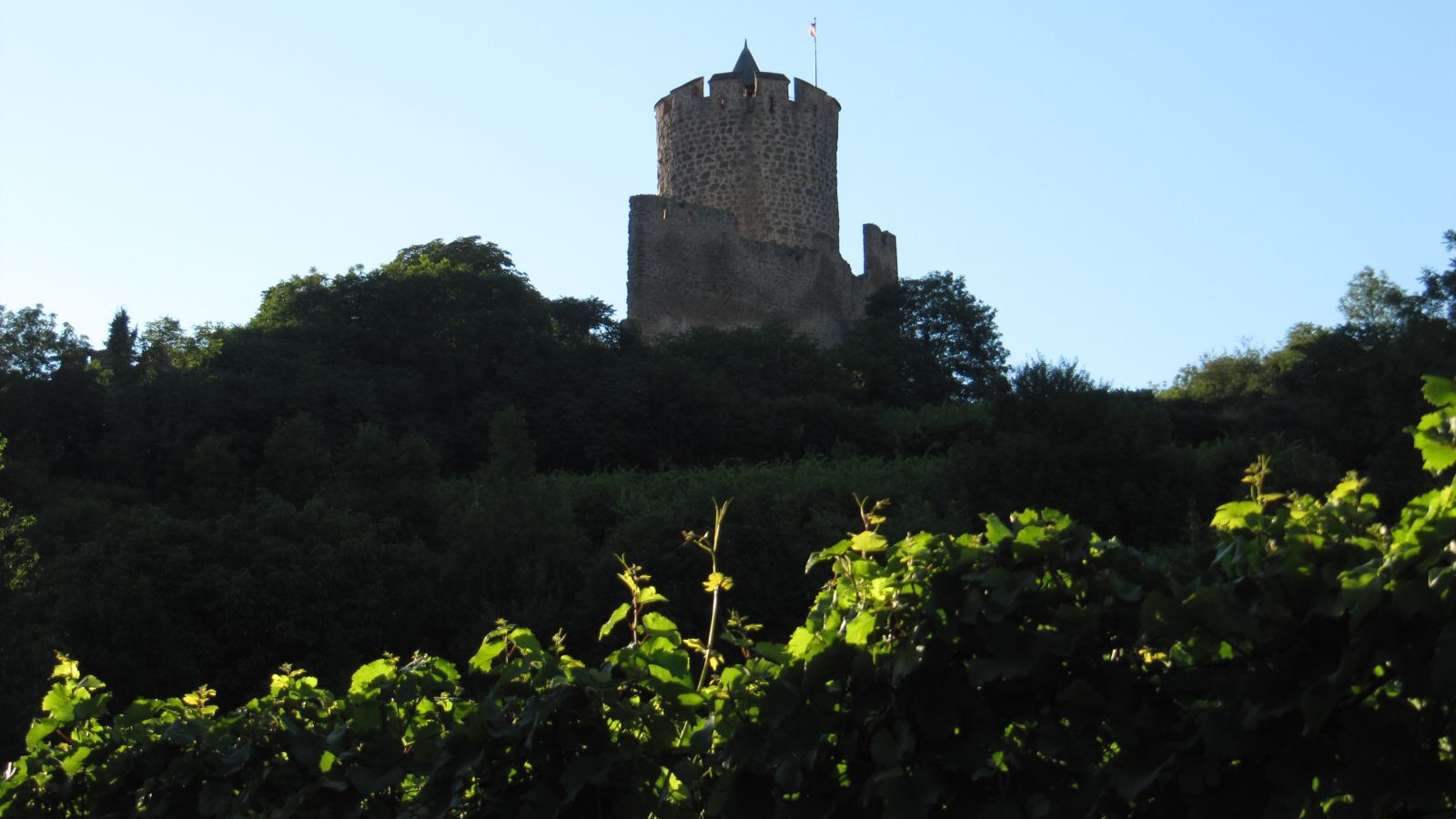 Vallée de Kayserberg août 2010