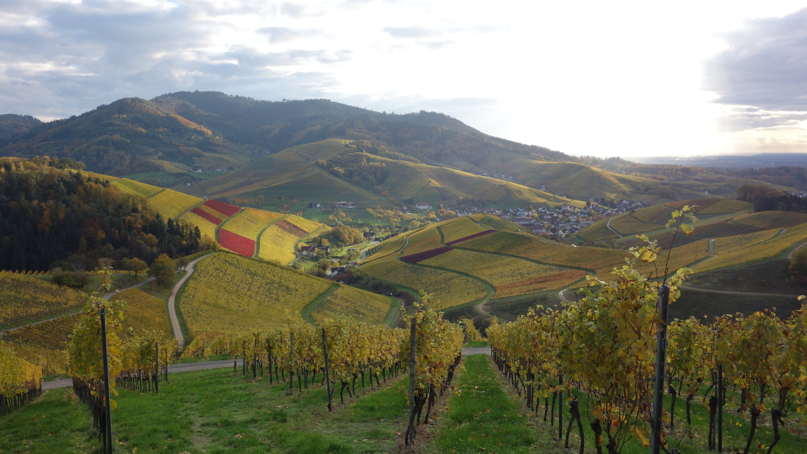 Durbach 2019