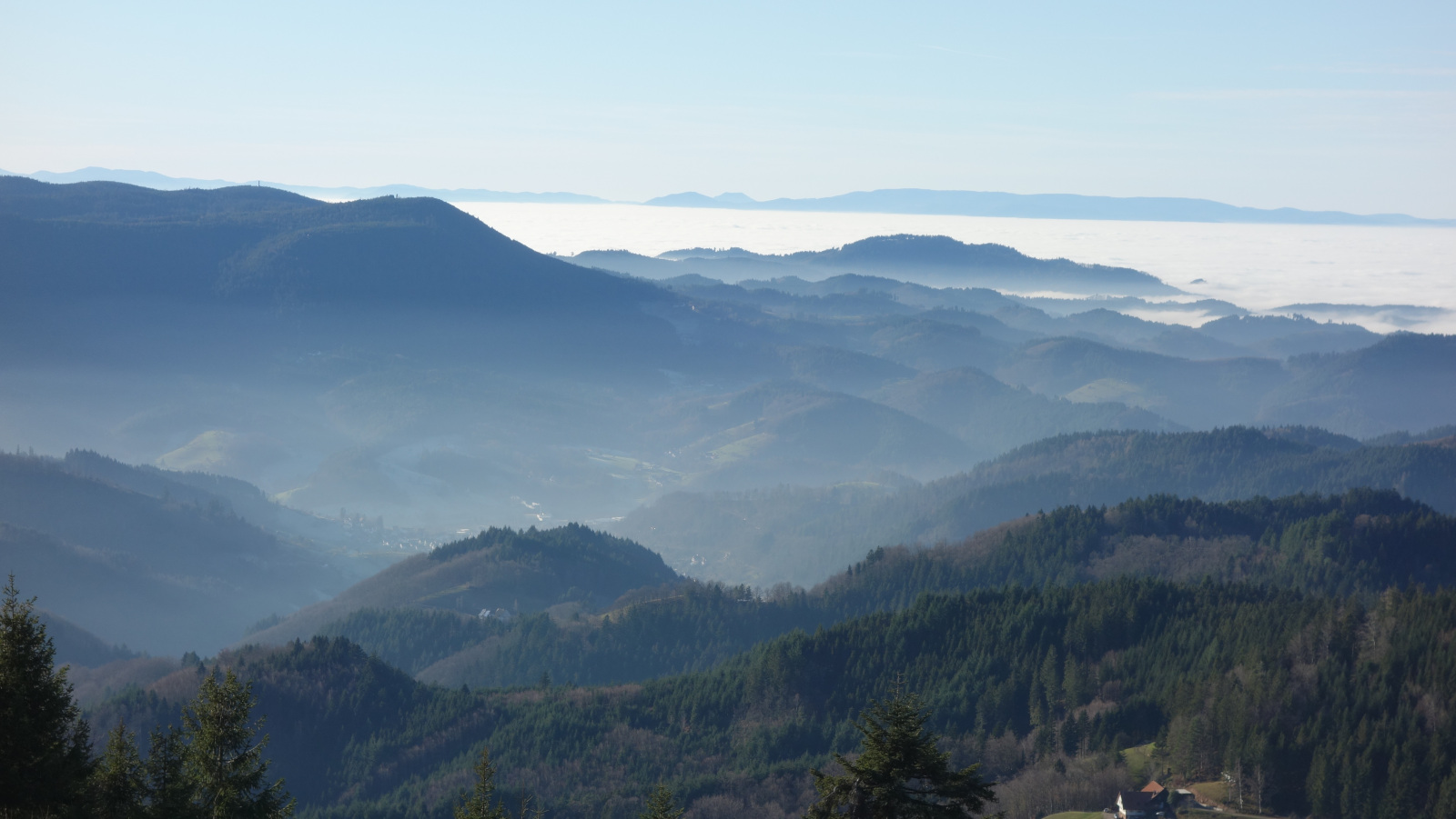 Kniebis décembre 2019
