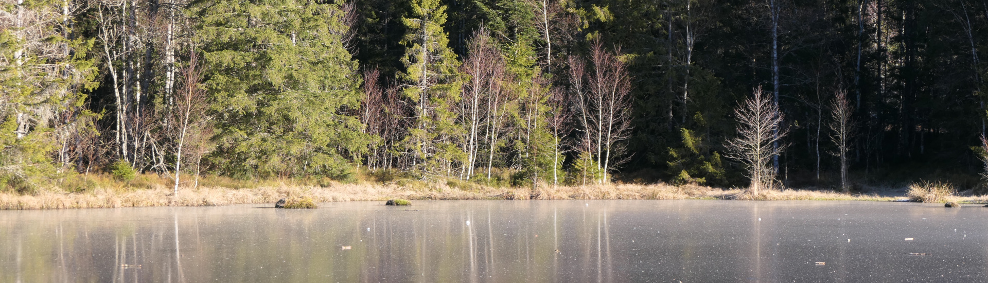 best_post-rock_albums_2025-1920